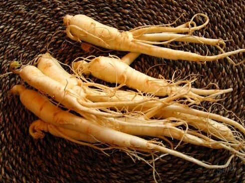 ginseng root to increase strength after 60