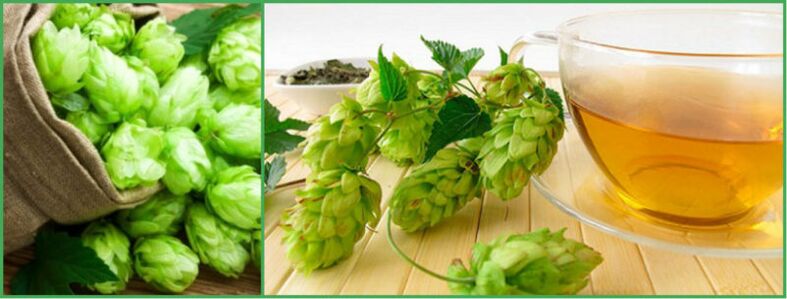 decoction of hop cones for strength after 50