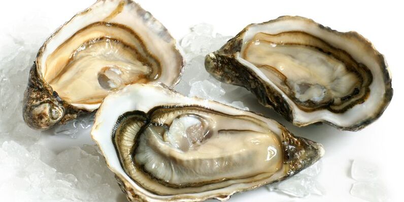 oysters for strength photo 2