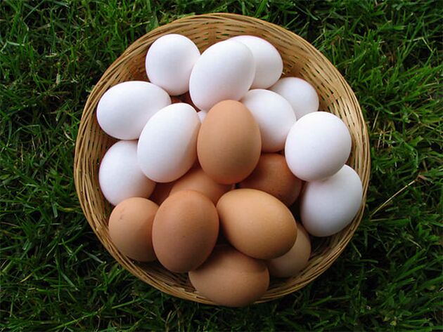 Chicken eggs strengthen erection and increase male libido