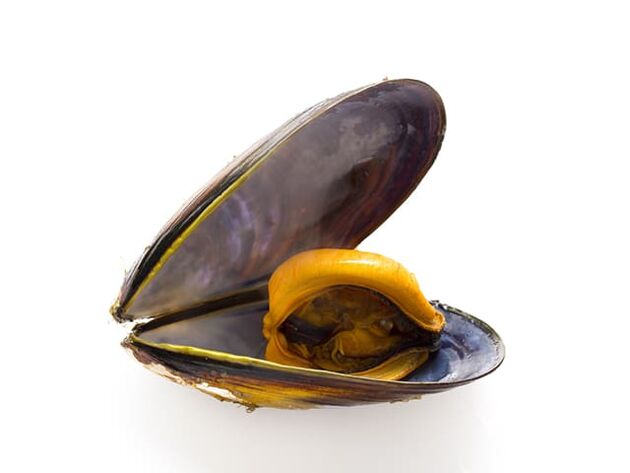 Due to the high content of zinc, mussels improve the quality of sperm